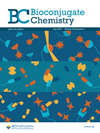 Bioconjugate Chemistry